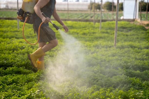 Best Wasp Removal Services  in Circleville, OH