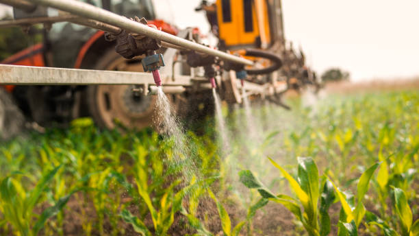 Professional Pest Control in Circleville, OH